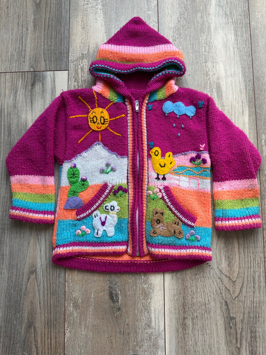 Colourful handmade knitted hoodie , Kids 3T