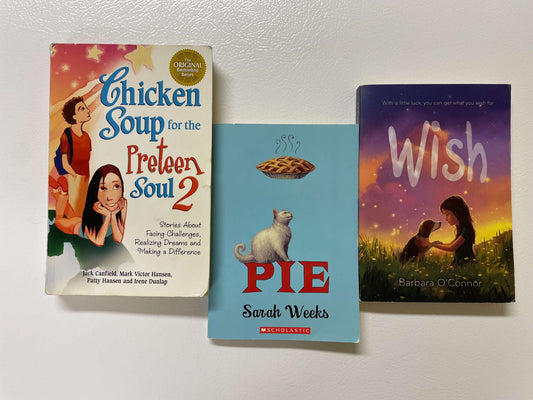 Bundle of Children’s / Preteen Books – Heartwarming Stories
