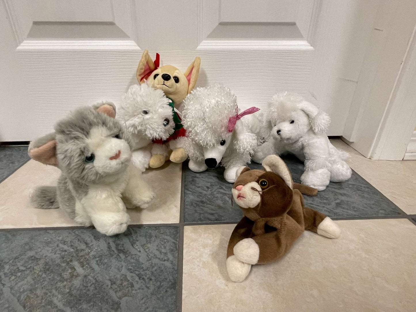 Adorable Plush Animal Lot – Cats & Dogs – Soft Toys for Kids, MSRP $60
