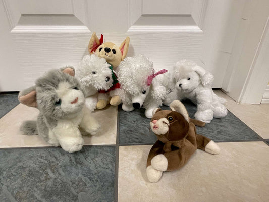 Adorable Plush Animal Lot – Cats & Dogs – Soft Toys for Kids, MSRP $60