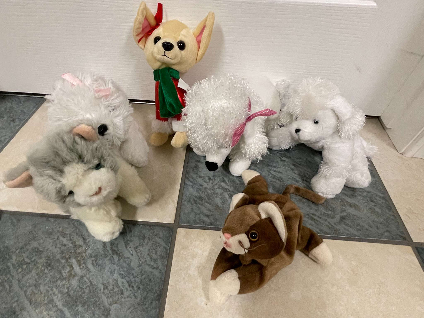 Adorable Plush Animal Lot – Cats & Dogs – Soft Toys for Kids, MSRP $60