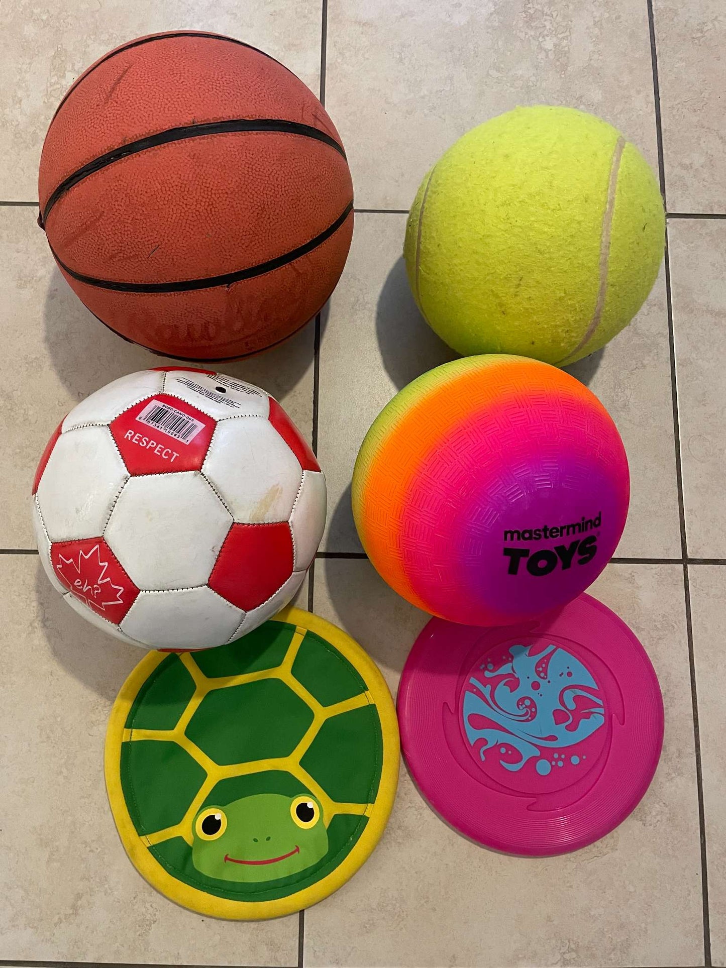 Bundle of Sports Balls & Frisbees - 6 items - Great for Kids & Outdoor Play