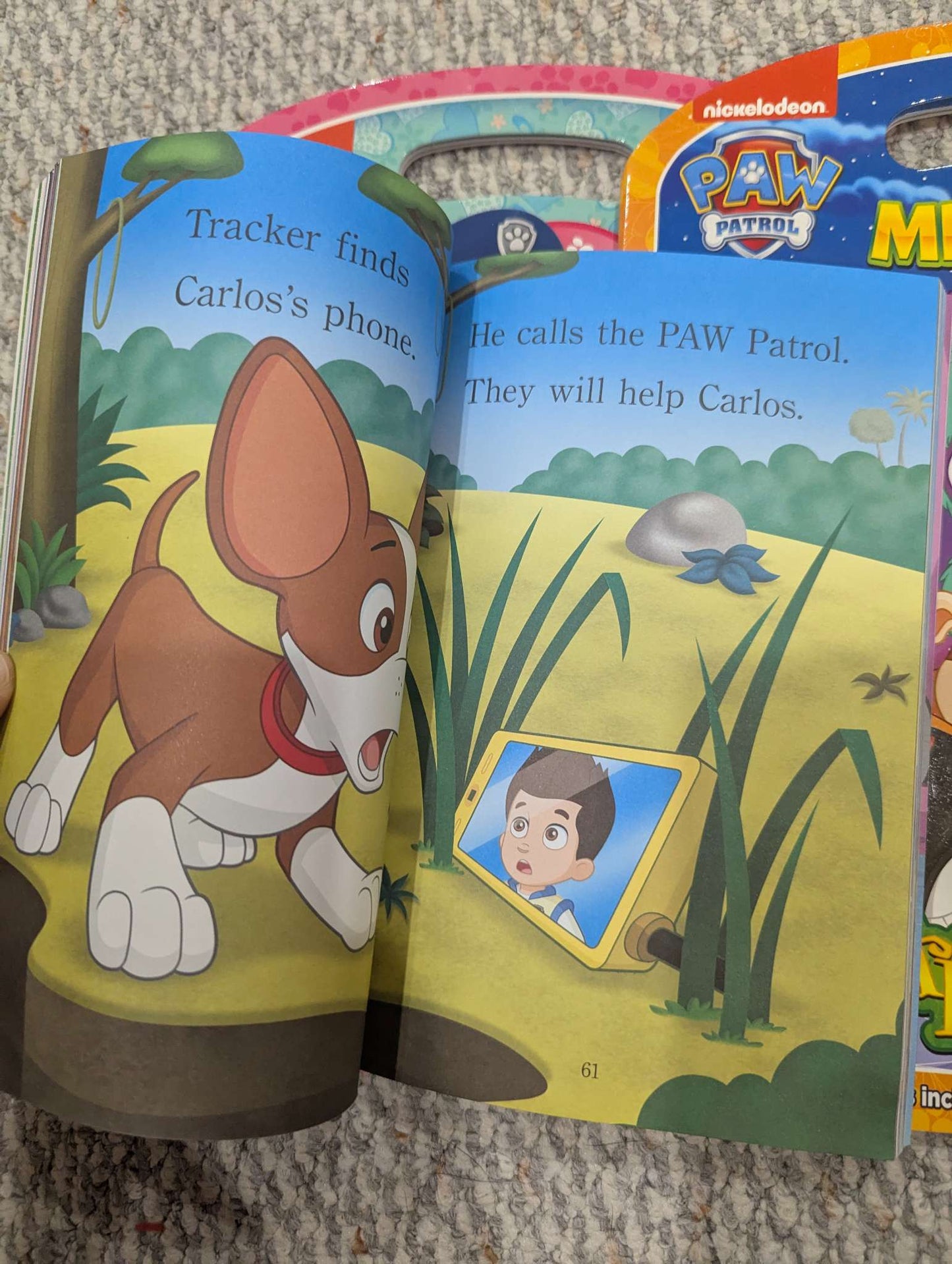 Paw Patrol book lot