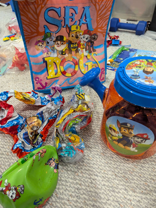 Paw Patrol summer lot
