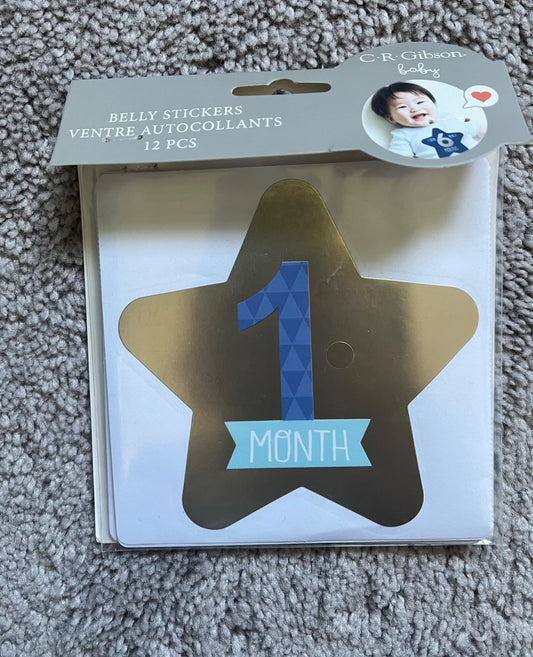 Monthly Stickers - 1-12 months