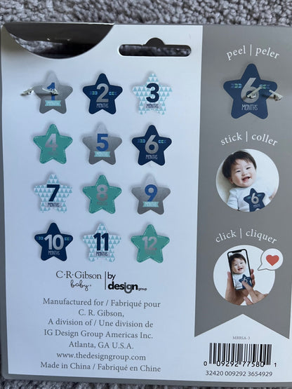 Monthly Stickers - 1-12 months
