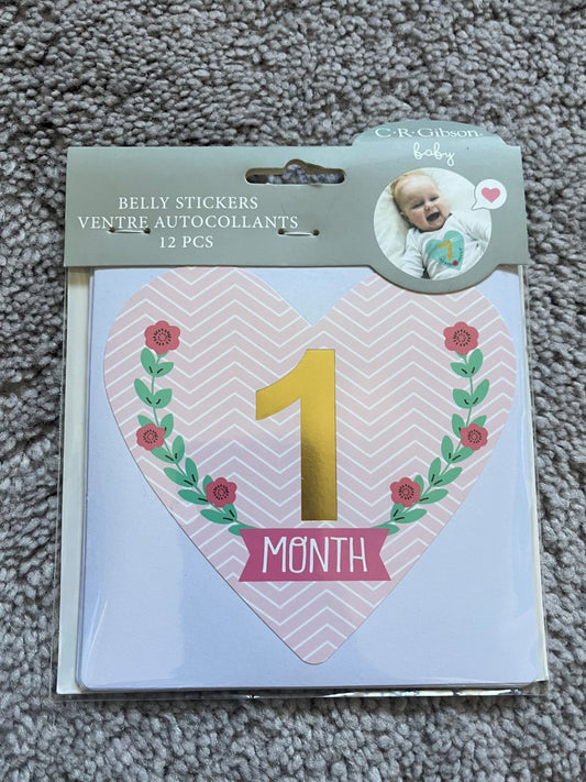 BNWT Monthly Stickers - 1-12 months