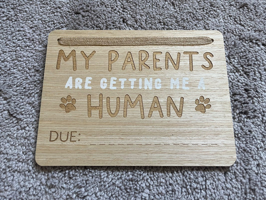 Baby Announcement Sign - pets