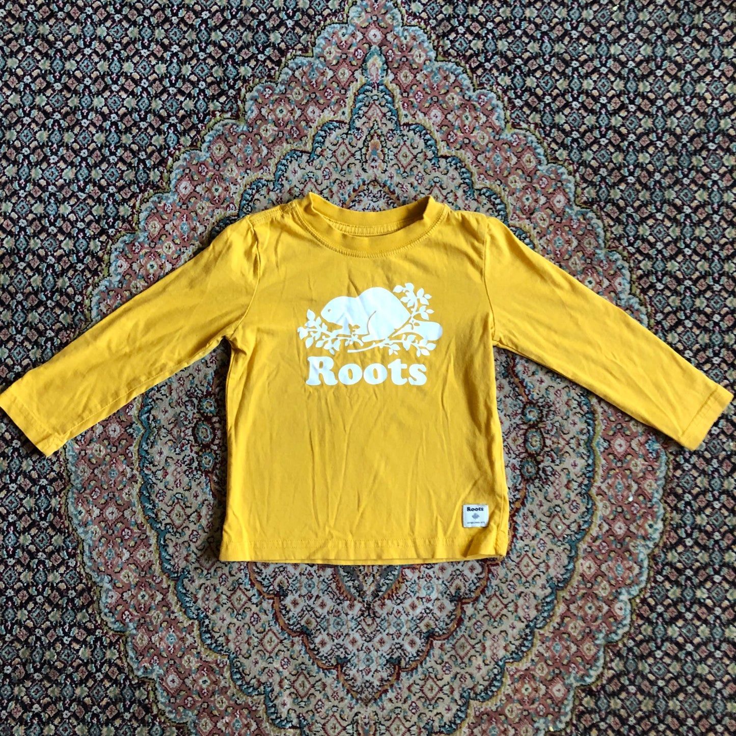 Roots Long Sleeve Top, Kids 2T