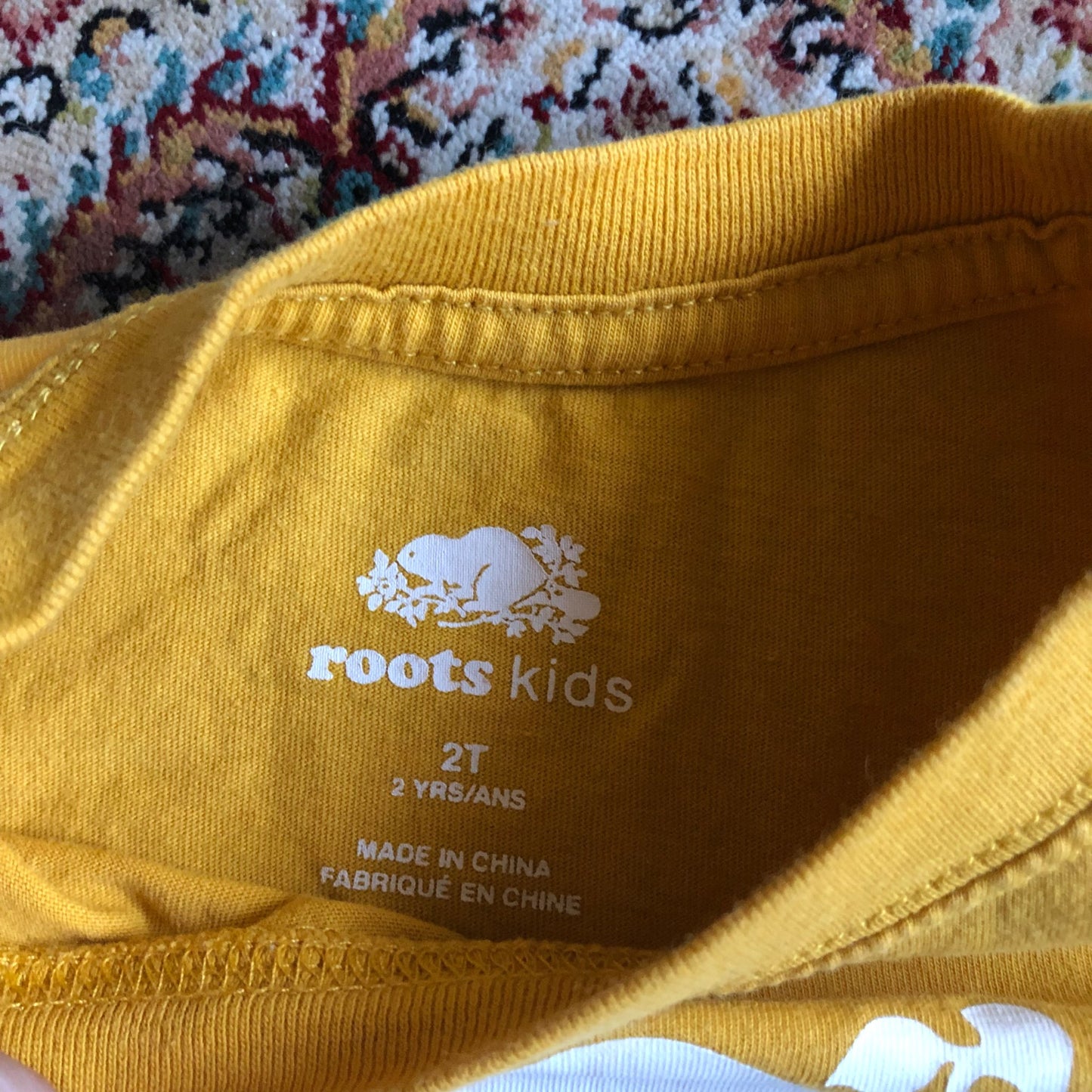 Roots Long Sleeve Top, Kids 2T