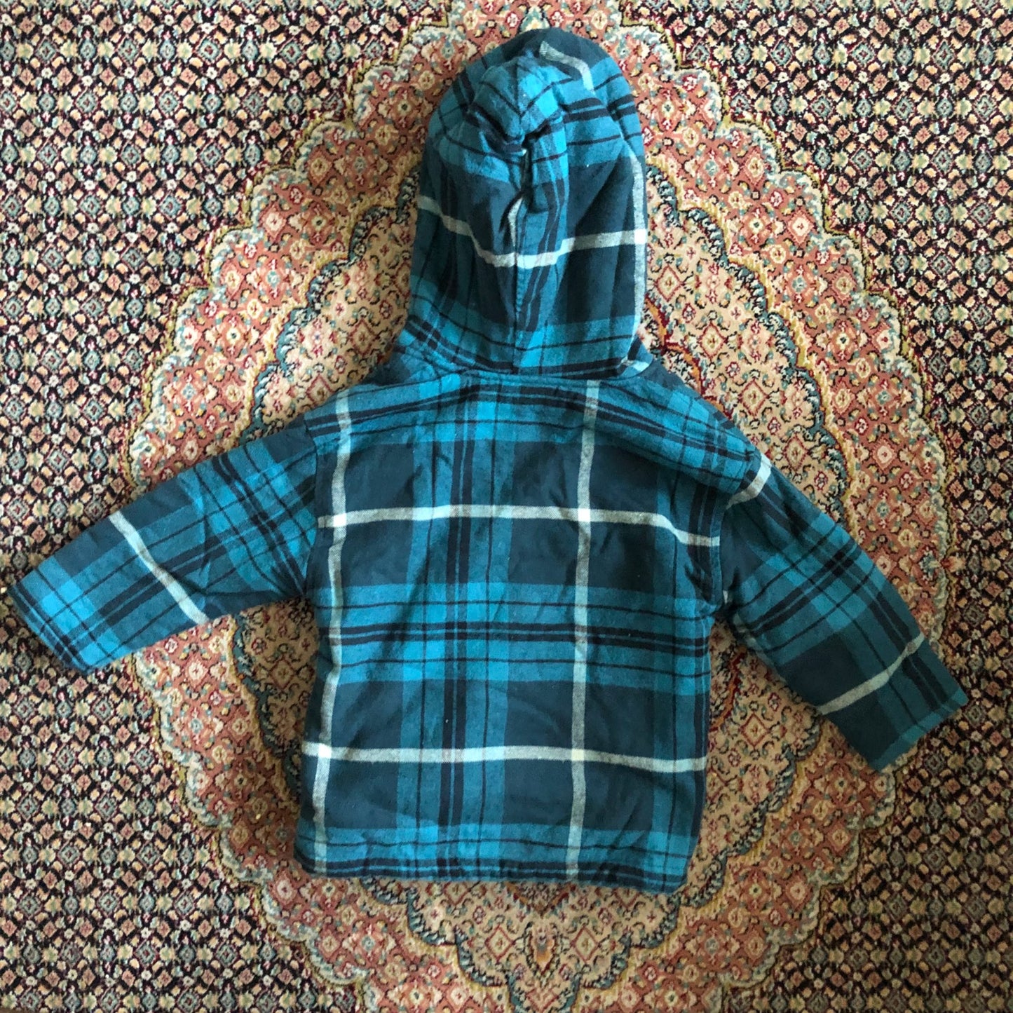 Zara Hooded Sweatshirt, Kids 18 Month (12-18M)