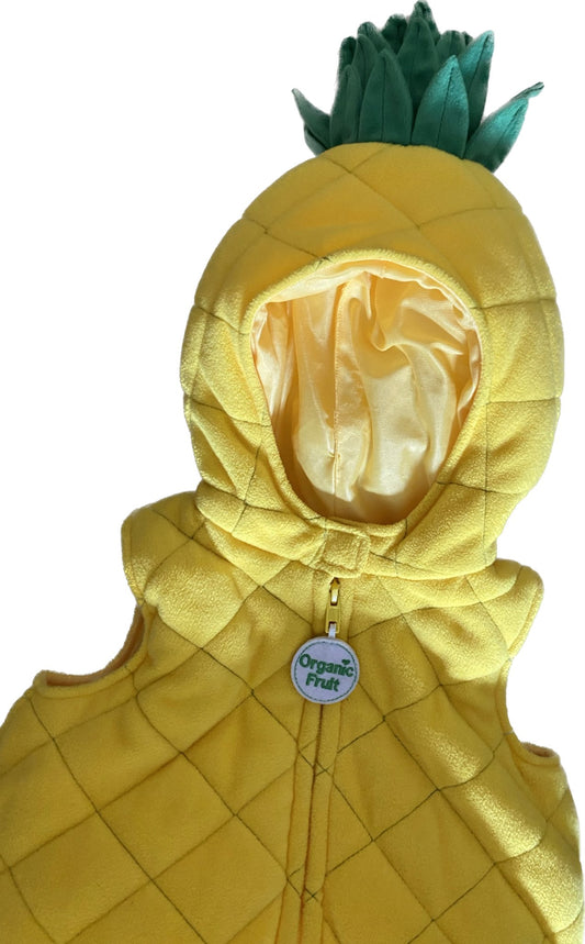 18 Month Pineapple Costume, Kids 18 Month (12-18M)
