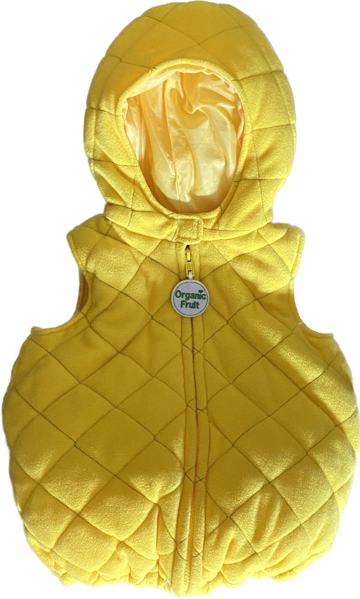 18 Month Pineapple Costume, Kids 18 Month (12-18M)