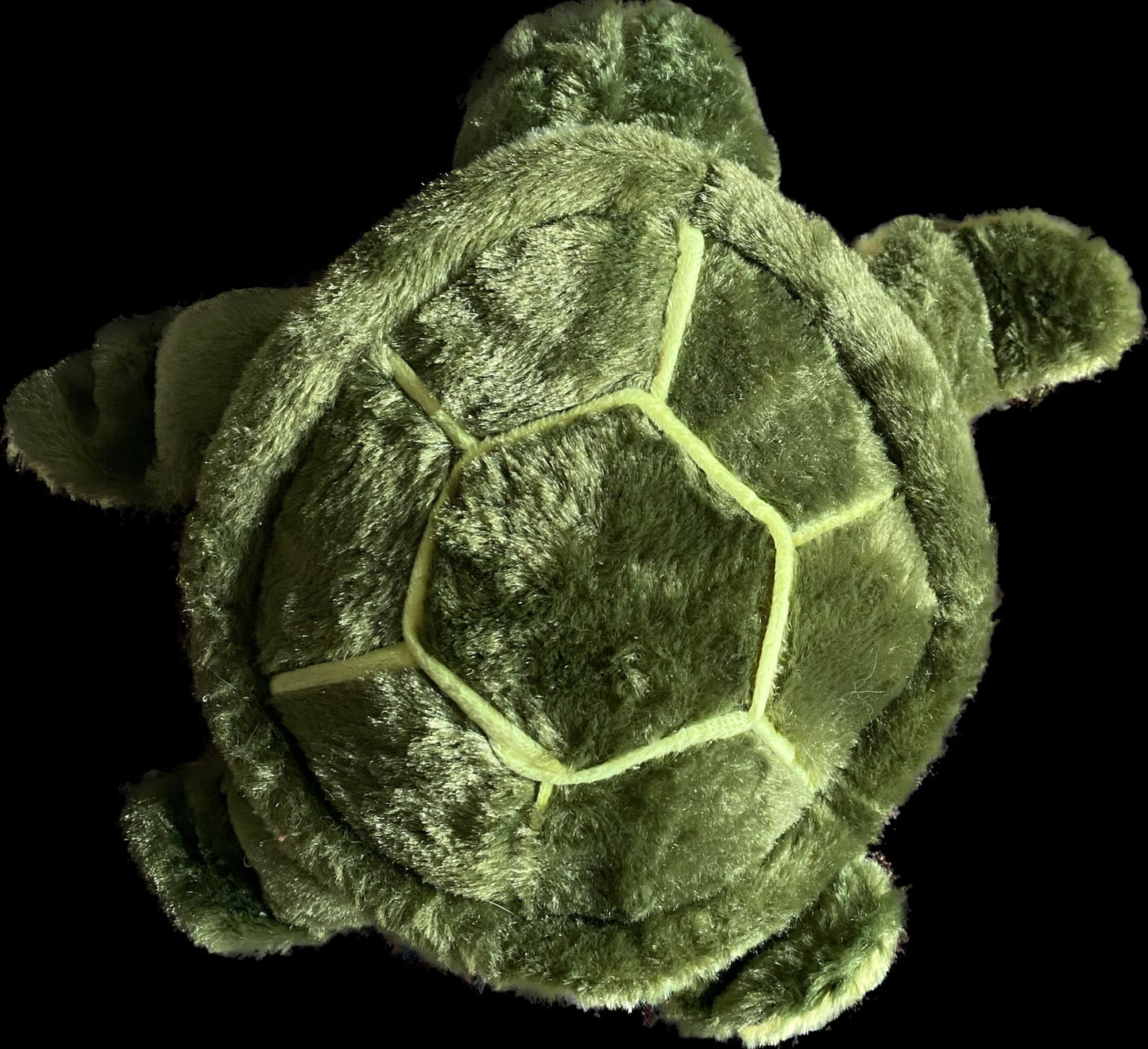 Toddler Turtle Bum Pillow