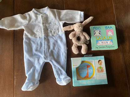 Newborn Bundle! Jellycat, Sandra Bornton, Milestone Stickers and Bodysuit