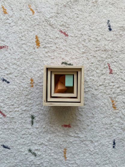 Wooden box and shape toy