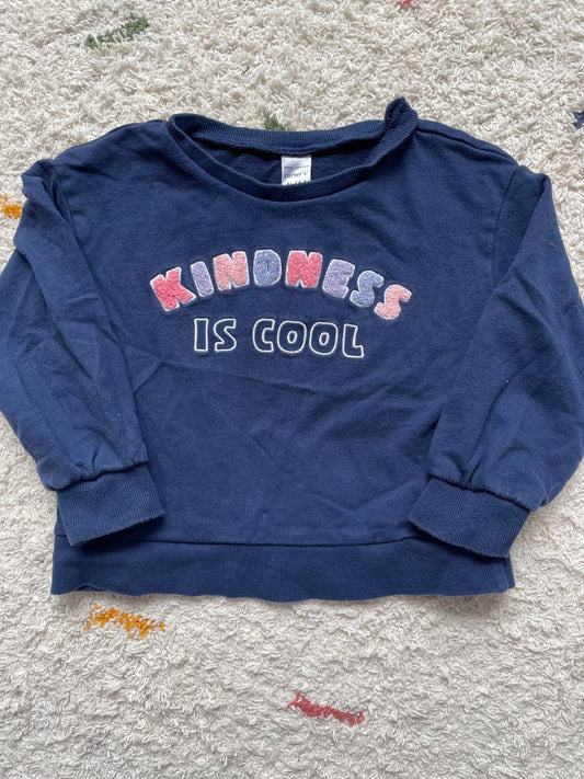 Carters 4Y sweater, Kids 4/4T