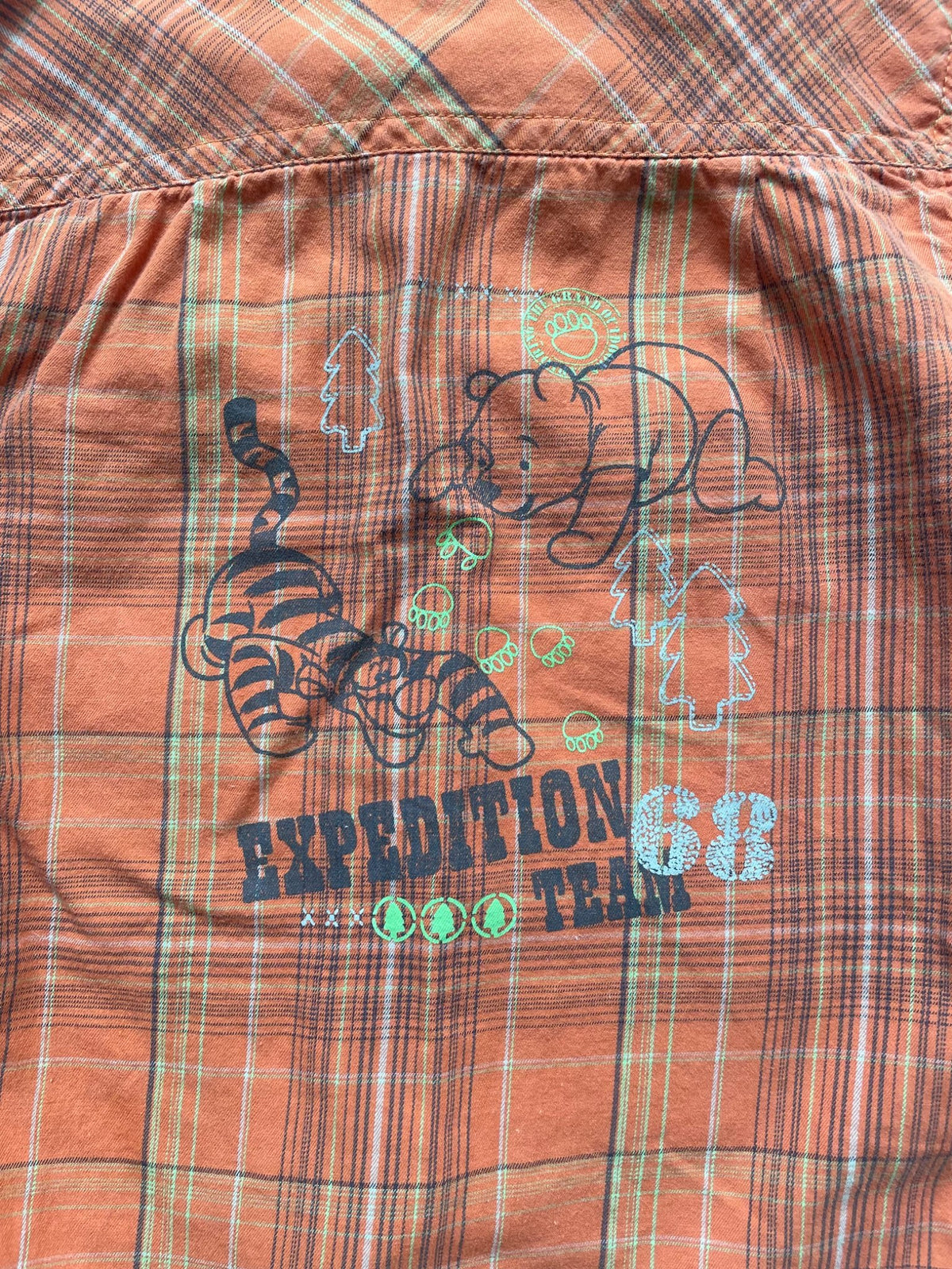 Disney 3Y orange plaid button up  winnie the pooh, Kids 3T