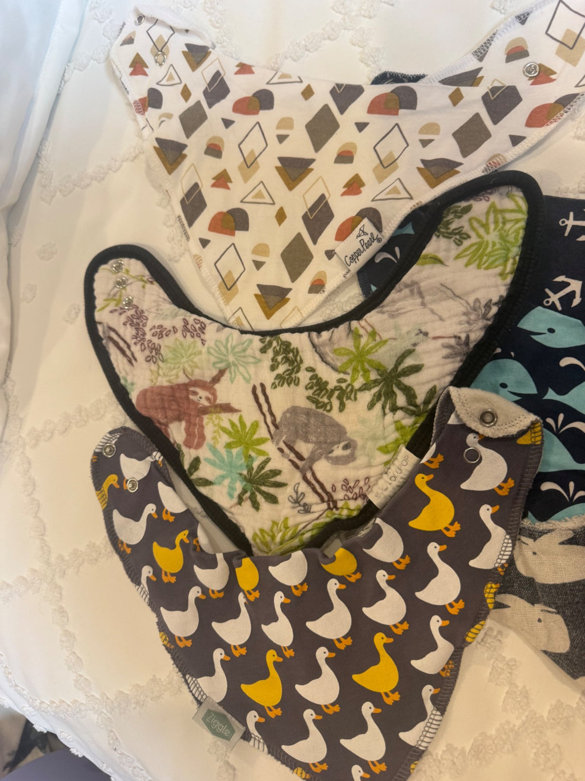 6 drool bibs