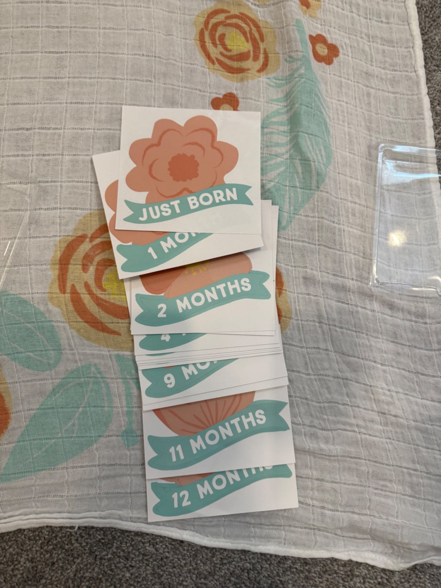 Monthly milestone photo mat