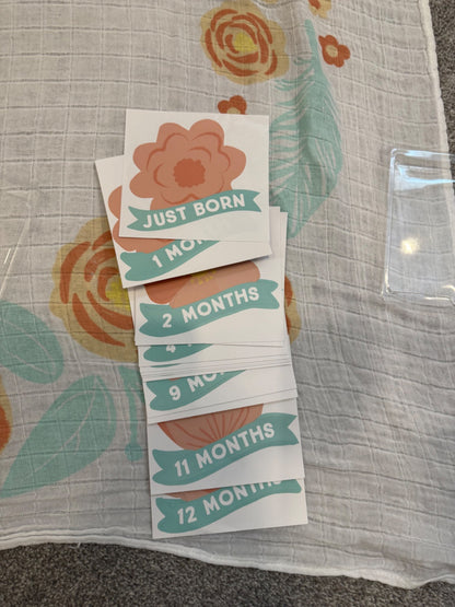 Monthly milestone photo mat