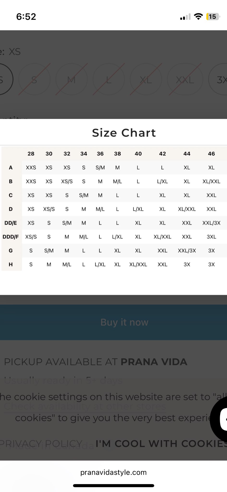 Maternity/Breastfeeding Bra/Swim Top- Small CDN shop, retails $78, Maternity L (12-14)