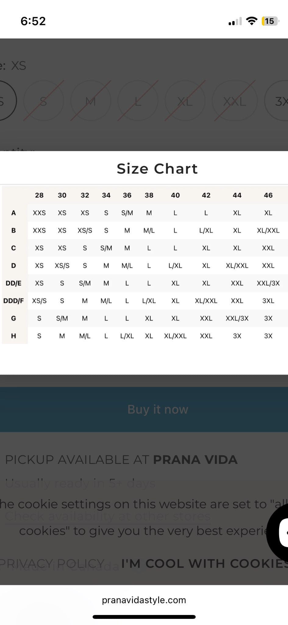 Maternity/Breastfeeding Bra/Swim Top- Small CDN shop, retails $78, Maternity L (12-14)