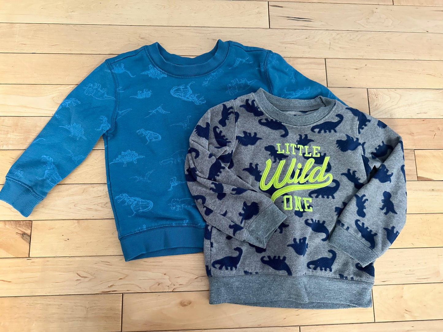 Dino sweatshirts , Kids 2T