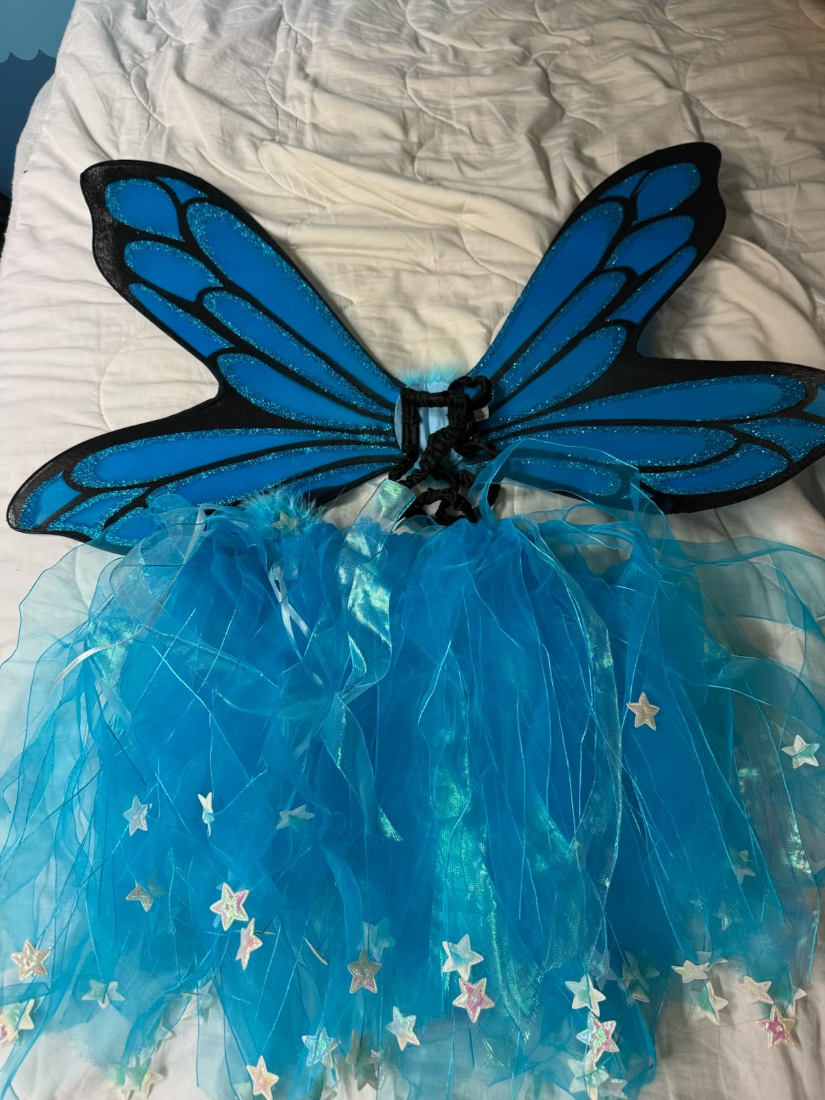 Butterfly Costumes, Kids 12 & 14 (large)