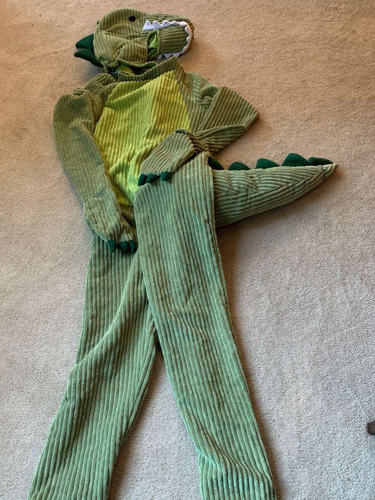 Dinosaur Halloween Costume, Youth Large, Kids 12 & 14 (large)