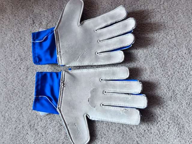 Addidas Predator Soccer Goalkeeper Gloves, Small