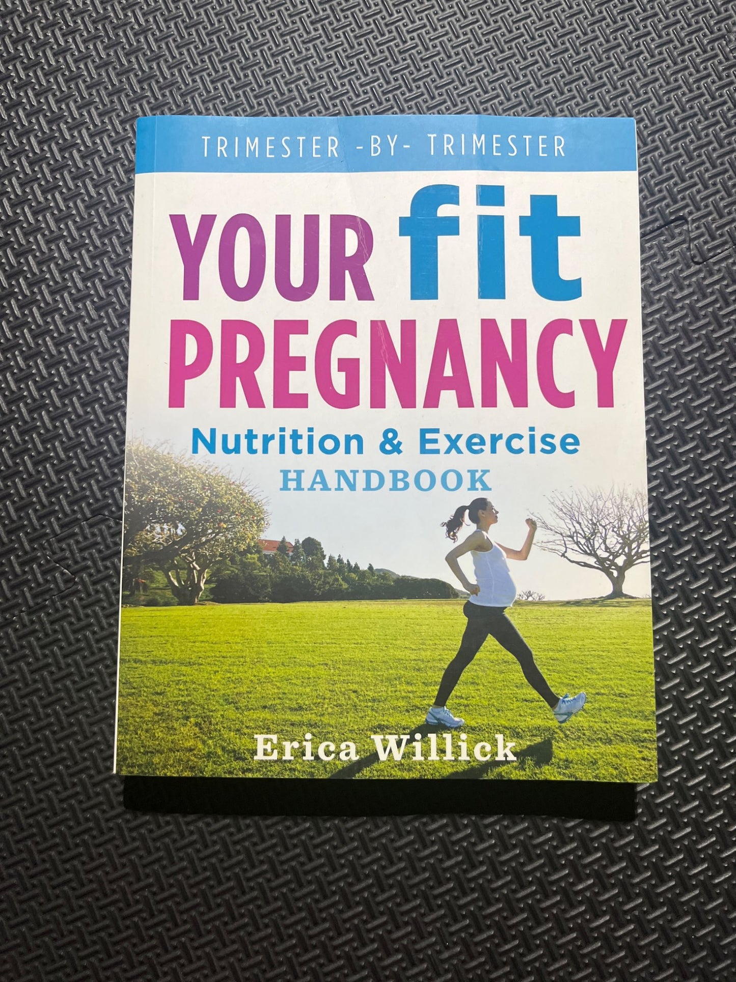 Your fit pregnancy by Erica Willick