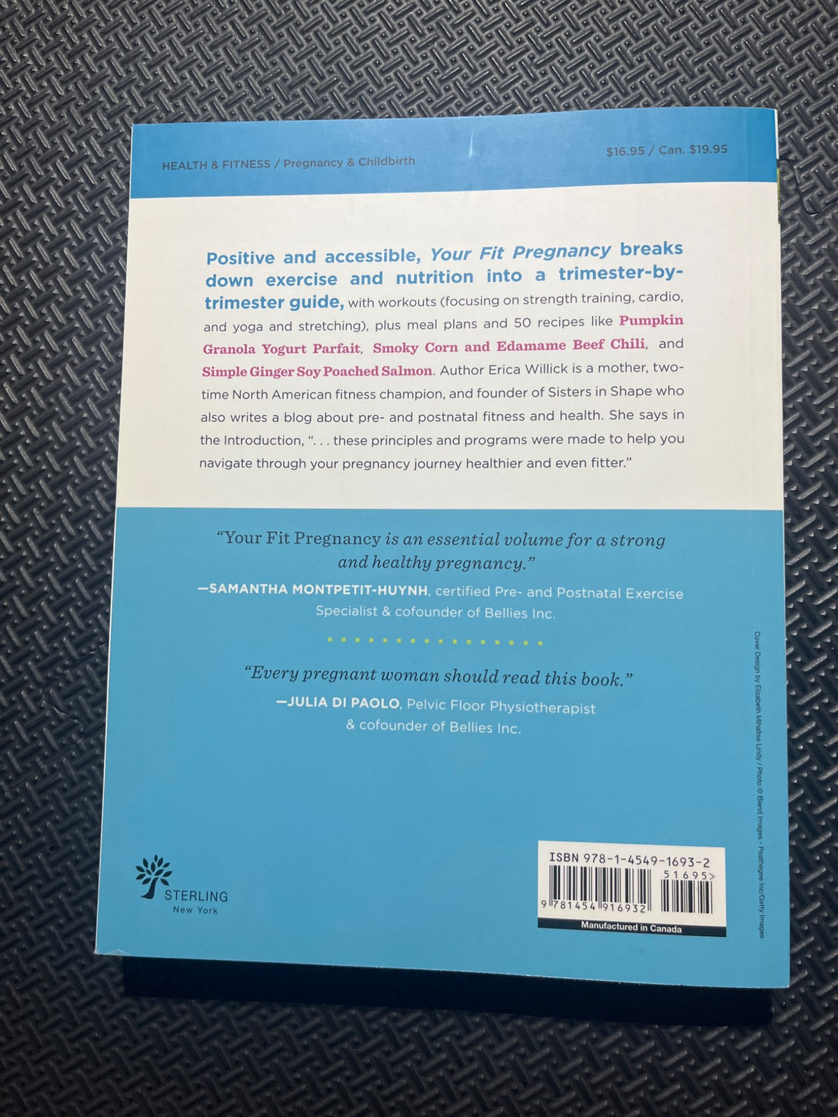 Your fit pregnancy by Erica Willick