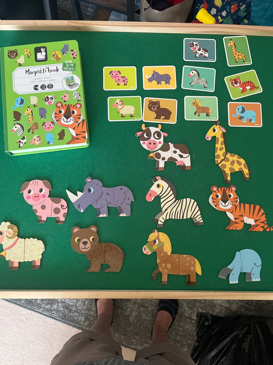 Magnetic’ book - animals