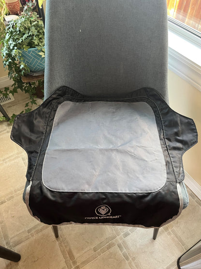 Seat protector