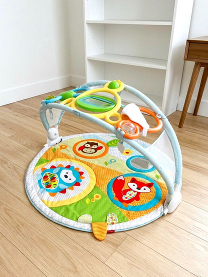 Skip Hop Amazing Arch Activity Gym