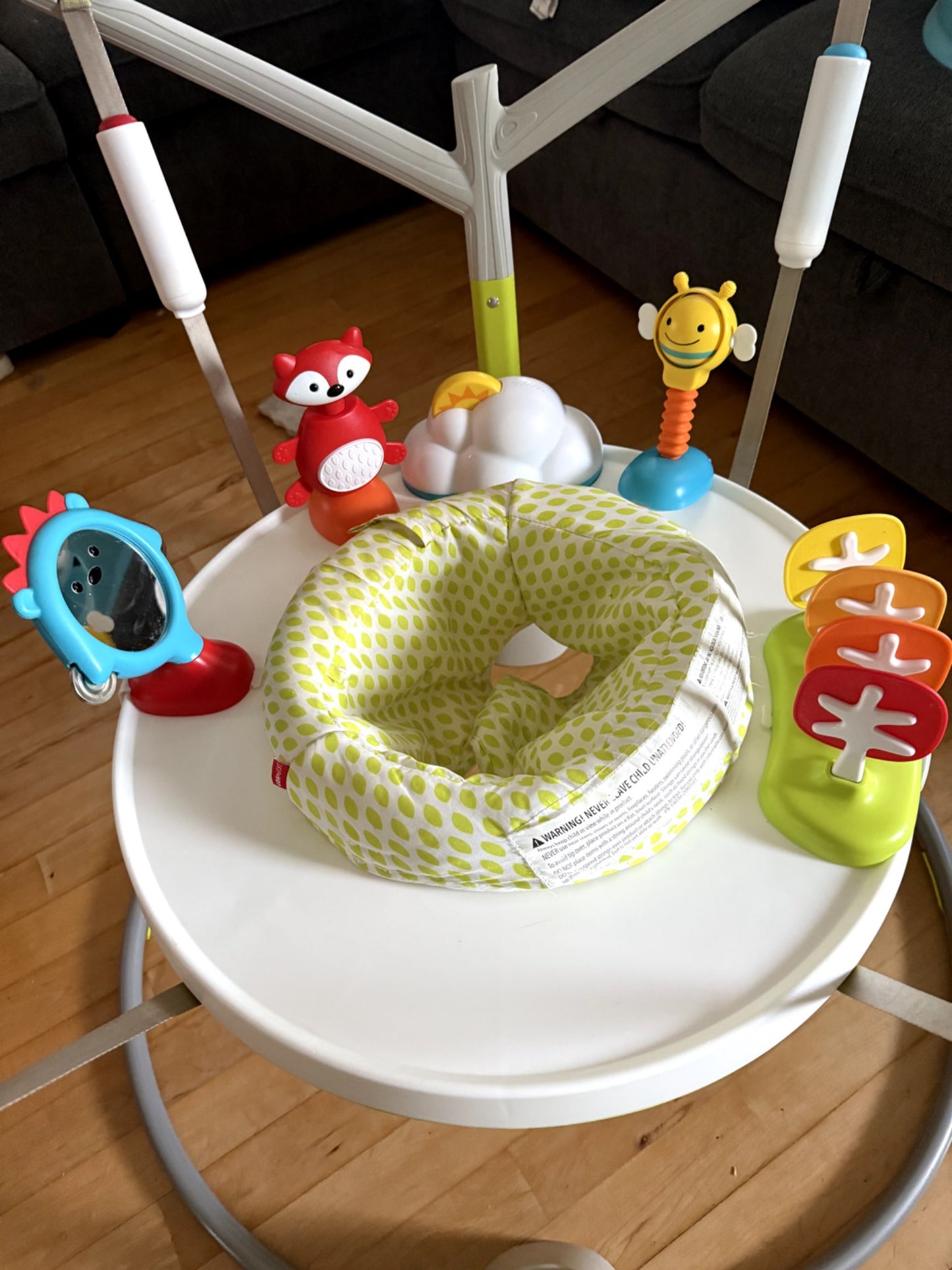Skip Hop Explore & More Jumpscape Foldaway Jumper/Activity Center