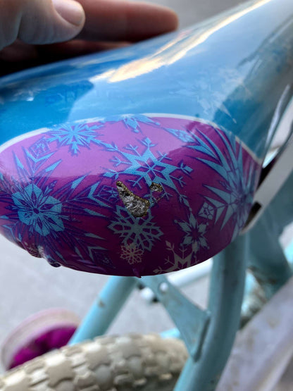 Frozen bike with training wheels!