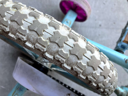 Frozen bike with training wheels!