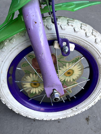 Tiana bike without training wheels