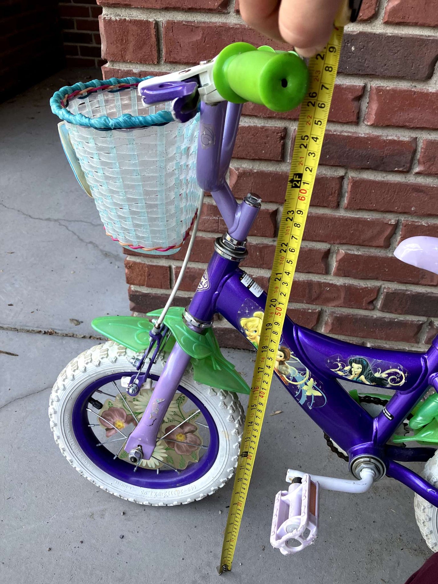 Tiana bike without training wheels