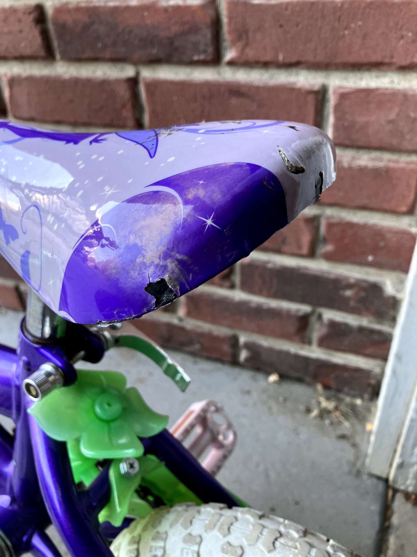 Tiana bike without training wheels
