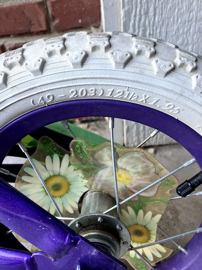 Tiana bike without training wheels