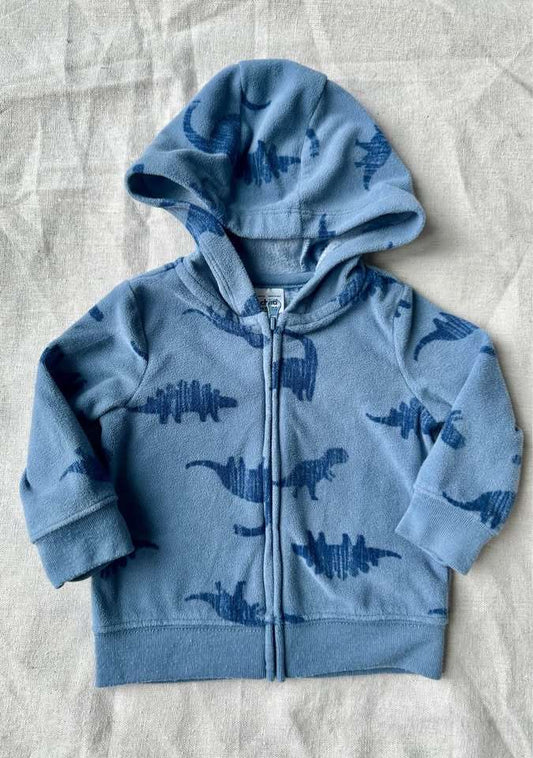3-6m Dinosaur Fleece Hoodie, Kids 6 Month (3-6M)