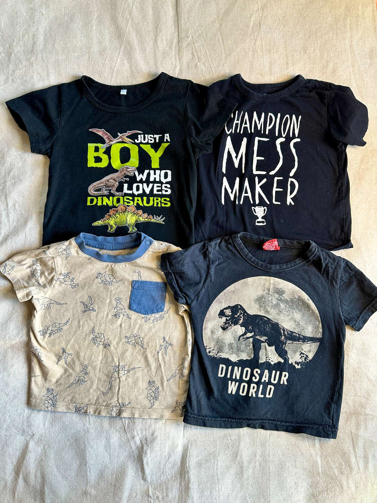 Dino T-Shirt bundle, various brands, Kids 24 Month (18-24M)