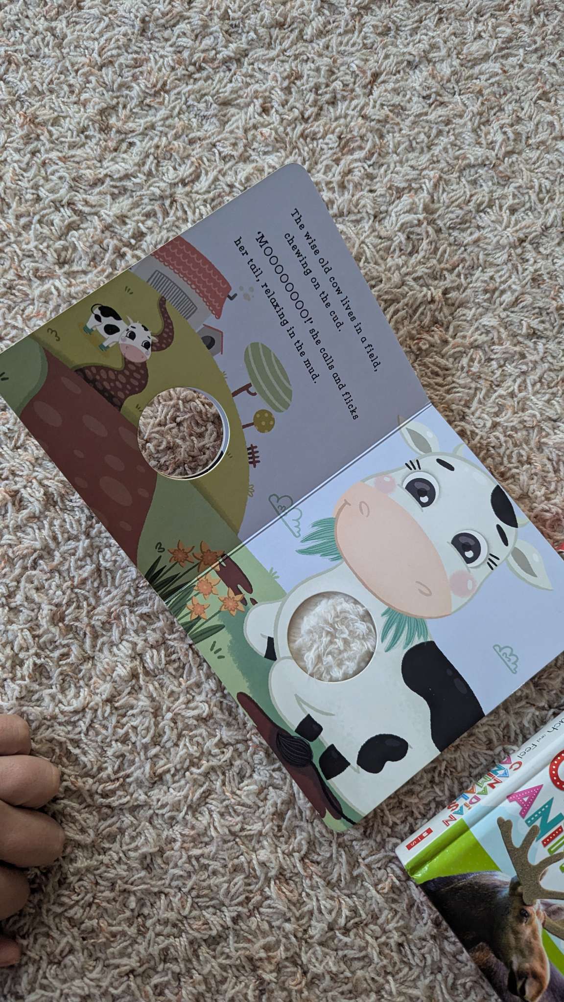 Baby books - set of 3