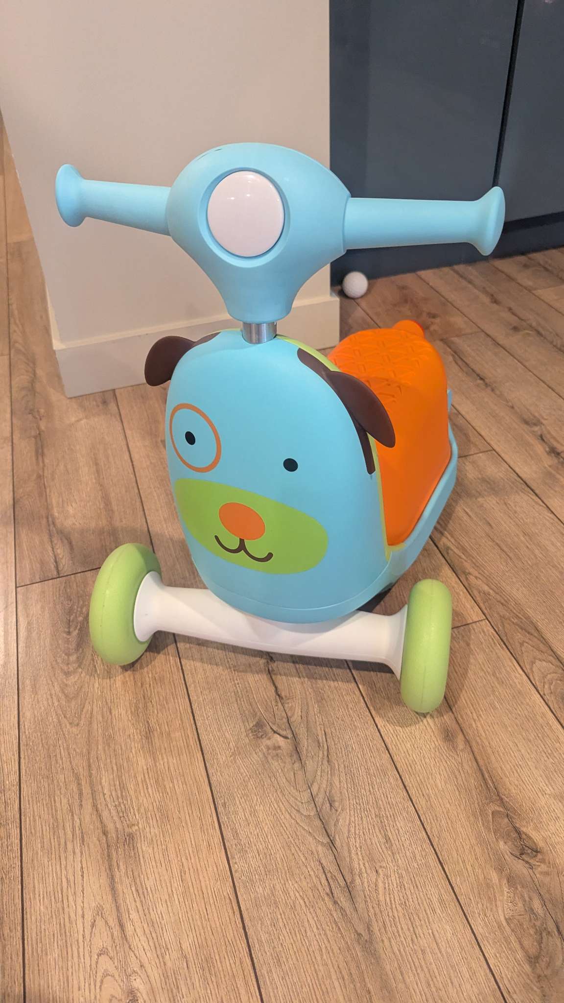 Skip Hop 3-in-1 baby activity push Walker to scooter