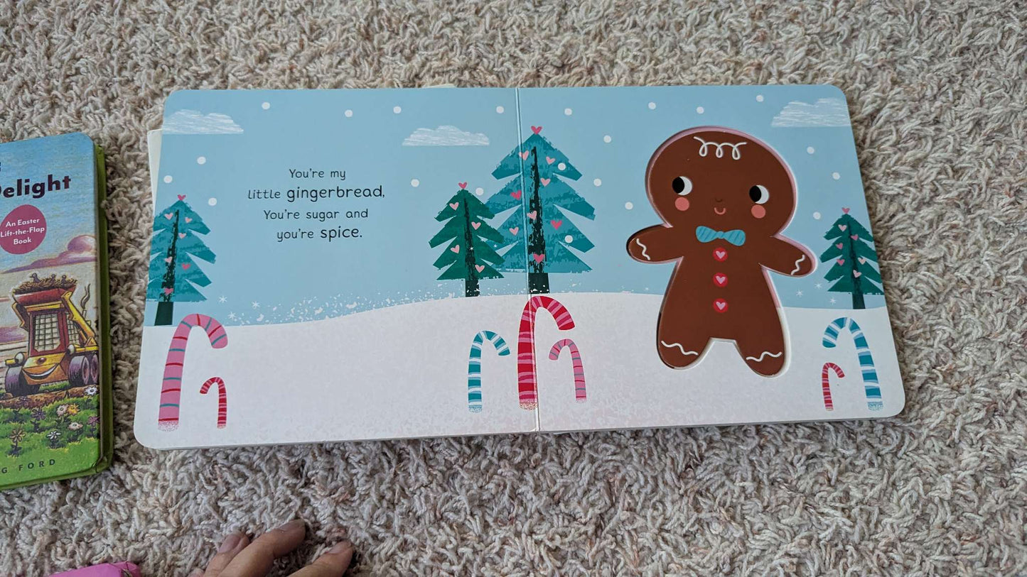 Set of 5 books - toddlers