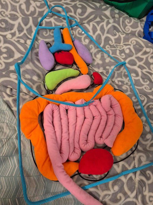 Human anatomy apron