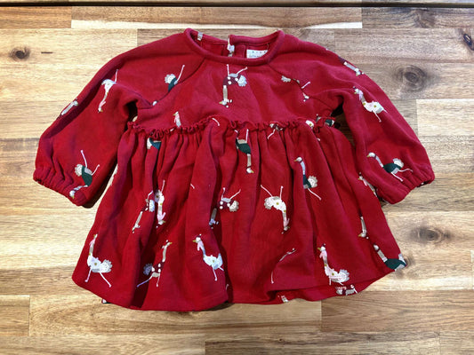 3-6m Rise Little Earthling Festive Dress, Kids 6 Month (3-6M)